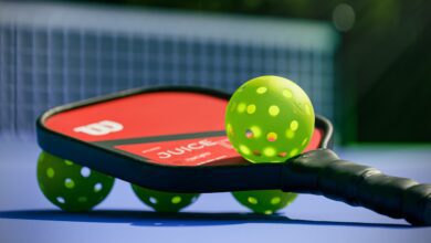 Top 10 Best Pickleball Sets with a Net